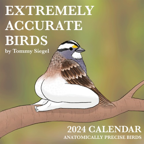 2024 Calendar of Extremely Accurate Birds (Pre-order, Ships early Dec) — Tommy Siegel