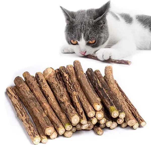 30 Stück katzenminze Sticks für Katzen, matatabi Stick Katzen Sticks, Matatabi-Kausticks als Katzenspielzeug, kauholz Katze Catnip Sticks, Katzenminze Sticks zum Schleifen von Zähnen