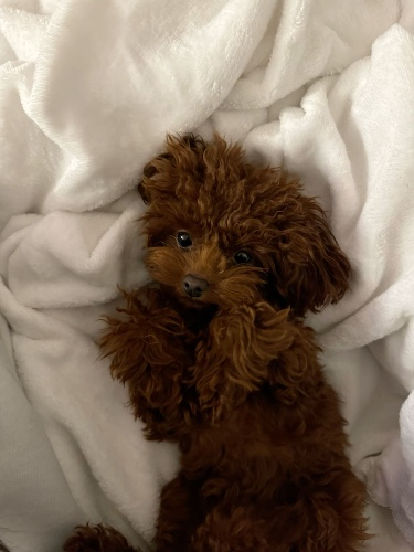 ♡♡♡