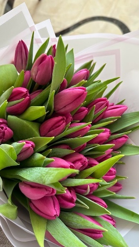 bouquet of 51 tulips