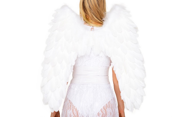 Delux Feathered Wings  - Costume Accessory - One Size / White