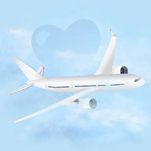 A flight in North America