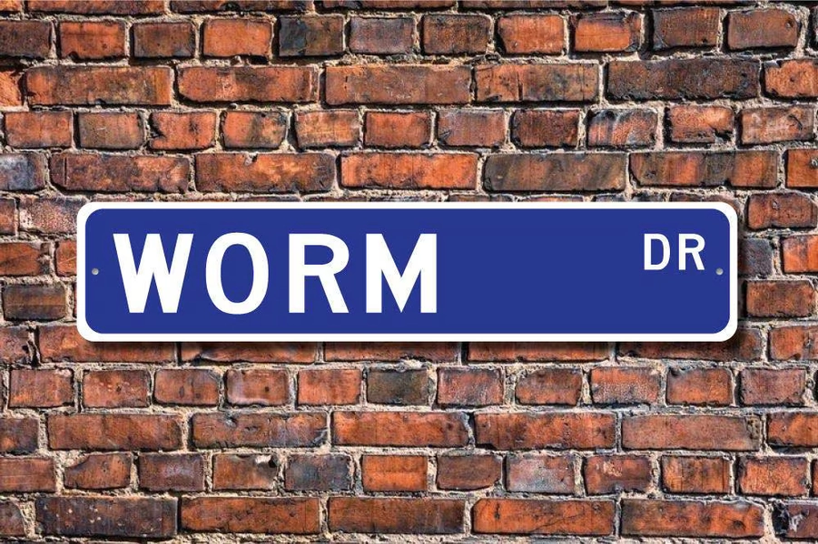 Worm, Worm Gift, Worm Sign, Worm decor, Worm lover, creeping or burrowing invertebrate, fishing bait, Custom Street Sign, Quality Metal Sign