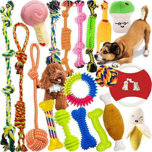 Dog Toy set for Bonsaï dog!