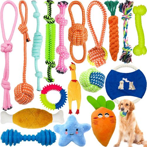 Another set of toys for the dog!