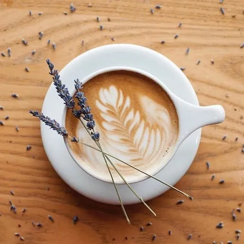 Buy me a coffee ☕