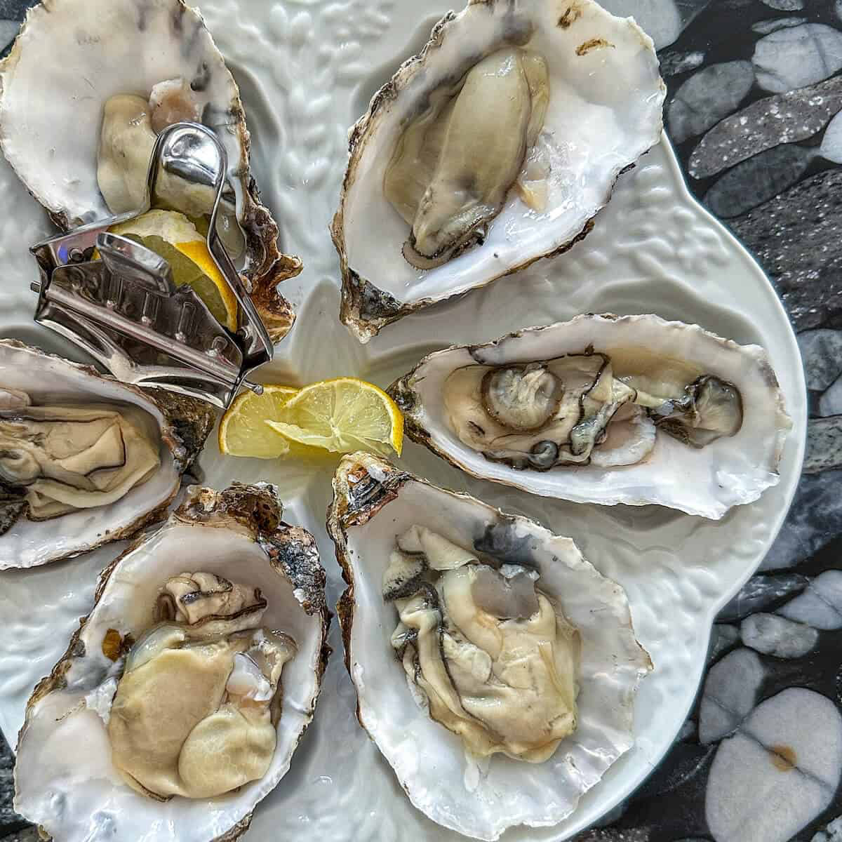 Buy my boyfriend dinner