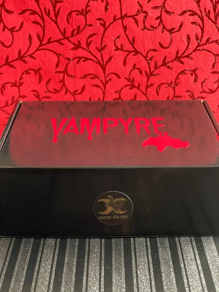 Vampire Mystery Box / Goth Mystery Box Girls Guys / Gothic Mystery Box / Halloween Mystery Box / Customizable / Themed Gift Box / Vampyre