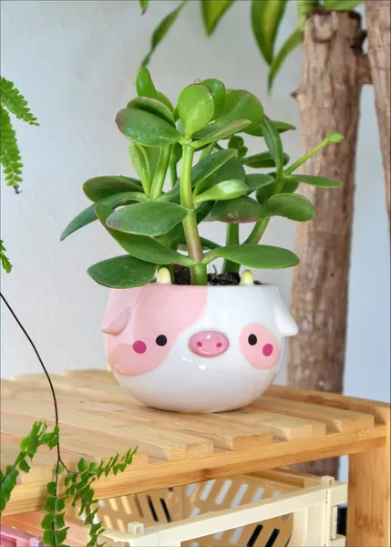 Cow Planter | Pink