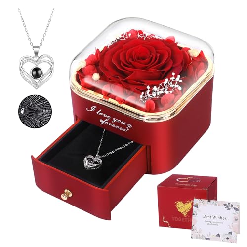 Preserved Red Real Rose with I Love You Necklace in 100 Languages,Eternal Flowers Gifts for Her Women Mum Wife Girlfriend on Christmas Valentines Day Mothers Day, Anniversary Birthday Gifts for Her - Red