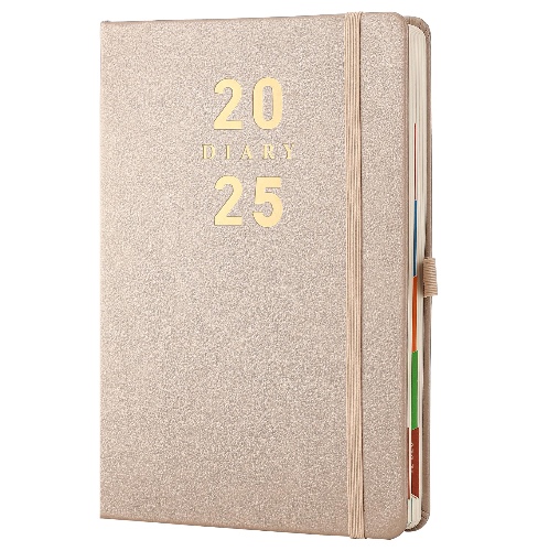 2025 Agenda A5, dagindeling 2025 pagina’s per dag, week, harde kaft, penhouder (goudkleurig 2025, A5) - Goud 2025