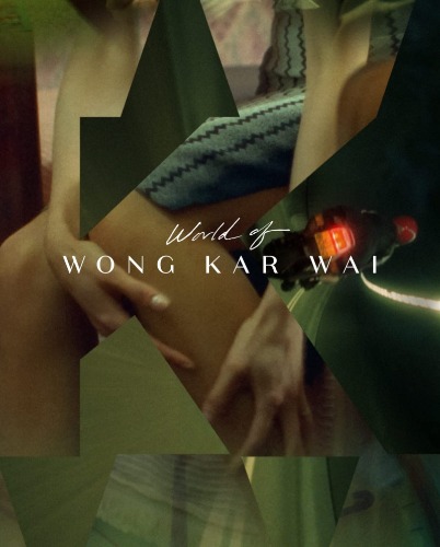 World of Wong Kar Wai (the Criterion Collection) [Blu-ray] - Blu-ray 
                             
                            March 23, 2021