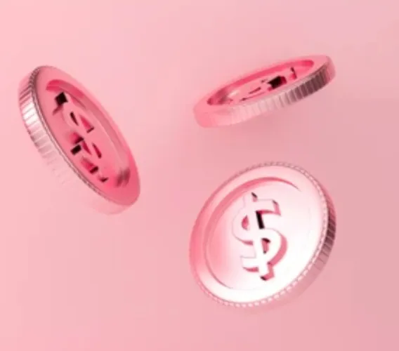 Lifestyle Budget (£20)