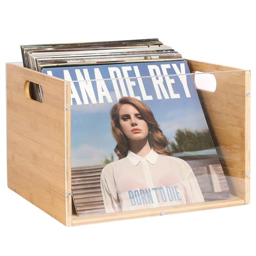 Record Album Crate