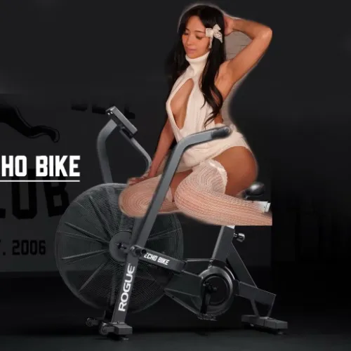 Rogue Echo Bike
