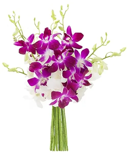 KaBloom Flowers - Starry Night in the Tropics Bouquet of Blue and White Orchids with Vase - Gift for Birthday, Thank You, Valentine, Mother’s Day Fresh Flowers - Purple and White - 10 - Without Vase