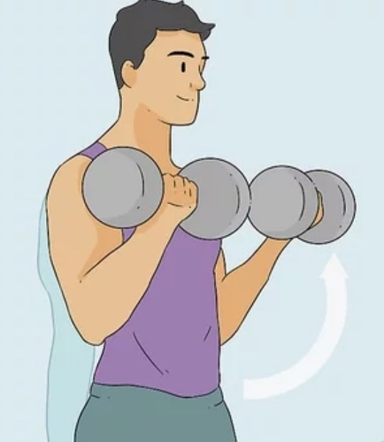 Growing alpha biceps 