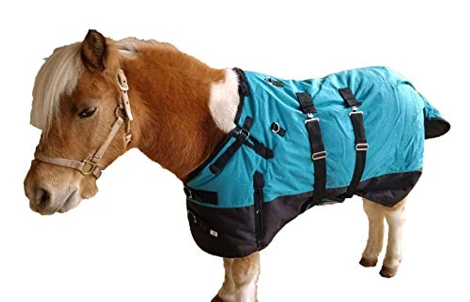 CHALLENGER 1200D Miniature Weanling Donkey Foal Mini Pony Horse Winter Blanket 51936B