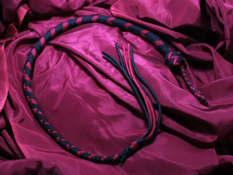 Hybride fouet et martinet | Sensuel et Marquant