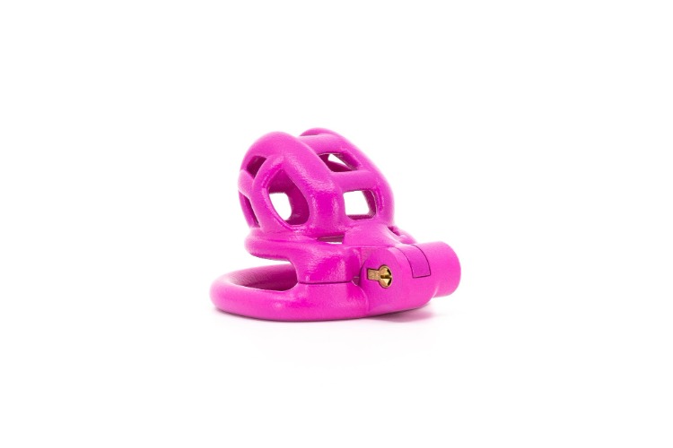 Cobra N Chastity Kit (Fusion Pink) | 2 / Standard / Standard
