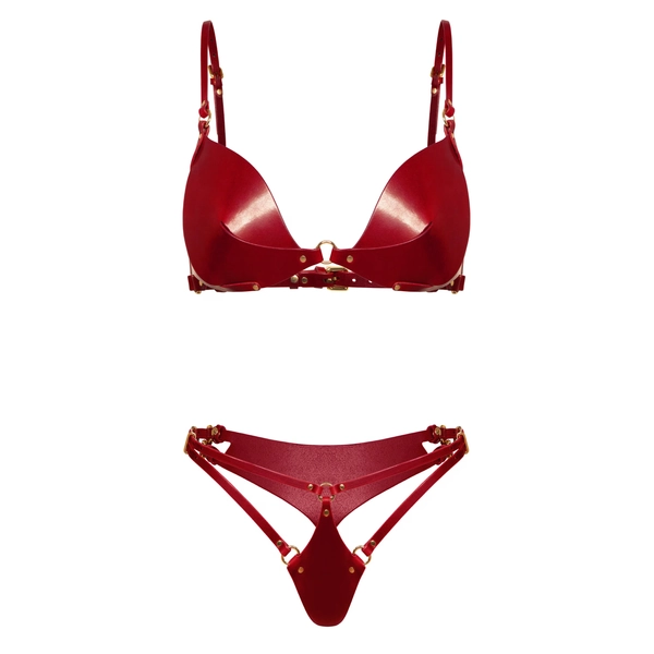 Luxury Red Leather Lingerie Set, Leather Lingerie Bra & Panties, Real Leather Lingerie Set, Birthday Gift for Her, Fetish Lingerie, Mature
