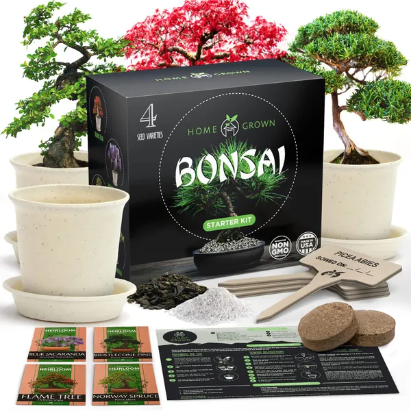 HOME GROWN Bonsai Tree Kit. Bonsai Tree Starter Kit with 4 Seeds Types, incl. Purple Bonsai Tree! Indoor Growing Plant Gifts for Moms Who Have Everything, Seed Starter Kit for Kids, DIY Adult Crafts