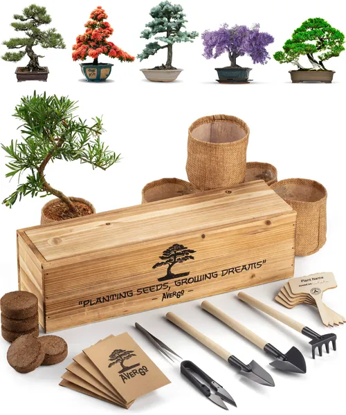 Bonsai Tree Kit – 5X Unique Japanese Bonzai Trees | Complete Indoor Starter Kit for Growing Plants with Bonsai Seeds, Tools & Planters – Gardening Gifts for Women & Men