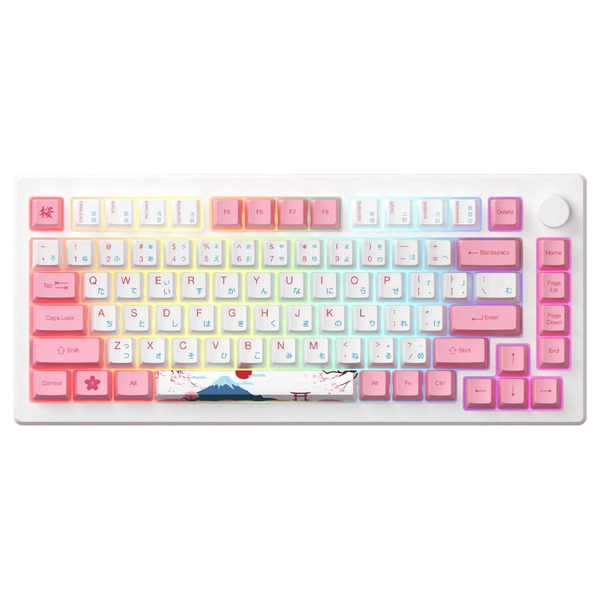 Buy Akko MOD 007B HE Tokyo Keyboard Sakura Pink Magnetic Switch [6925758627733] | PC Case Gear Australia