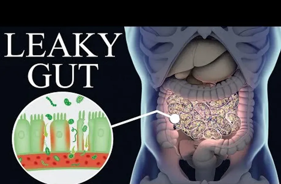 Self Healers Library eBooks and Guides