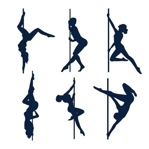 Pole Lessons - 1 month