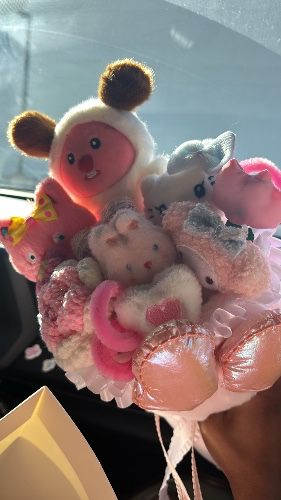 Princess this is all I have 