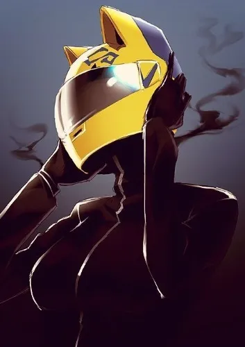 Motorcycle Gear