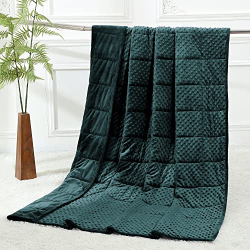 Alomidds Weighted Blanket (60"x80",15lbs Queen Size - Green), Weighted Blankets for Adults and Kids, Cooling Breathable Soft and Comfort Minky, Heavy Blanket Microfiber Material with Glass Beads - A(green) - 60"x80" 15LBS