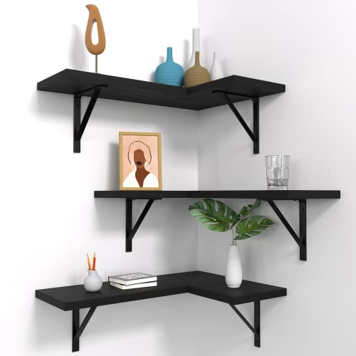 NATURE'S SOURCE Floating Corner Shelves Set of 3, Corner Shelves Wall Mounted, Floating Shelves for Bedroom Kitchen Living Room Bathroom Office- Gothic Style (Black) - Set of 3 - Black