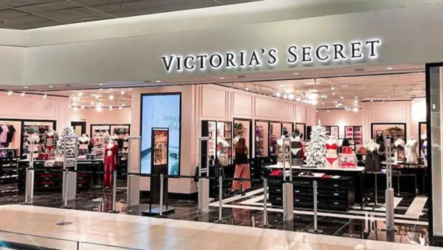 VS Panty buying funds! :3