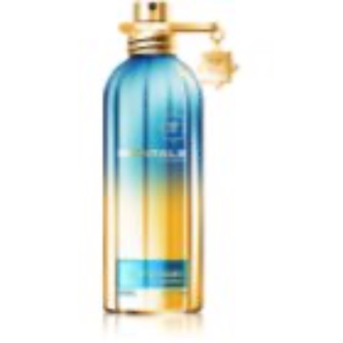 Montale Day Dreams