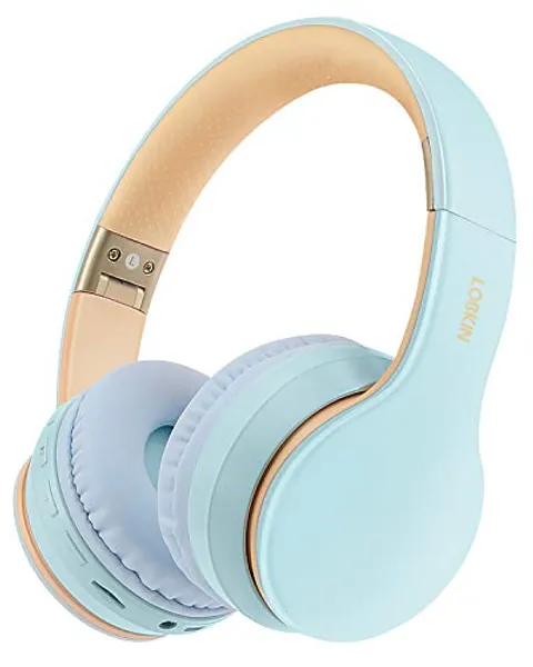 LOBKIN Bluetooth Headphones with Built-in Microphone, Foldable Wireless Headphones Over Ear,Hi-Fi Stereo Headset with 3.5mm Jack for Online Class/Meeting/PC/Phone/Computer