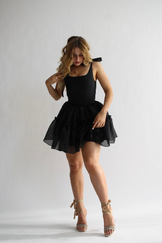 The Siena Mini Dress in Black Swan | M