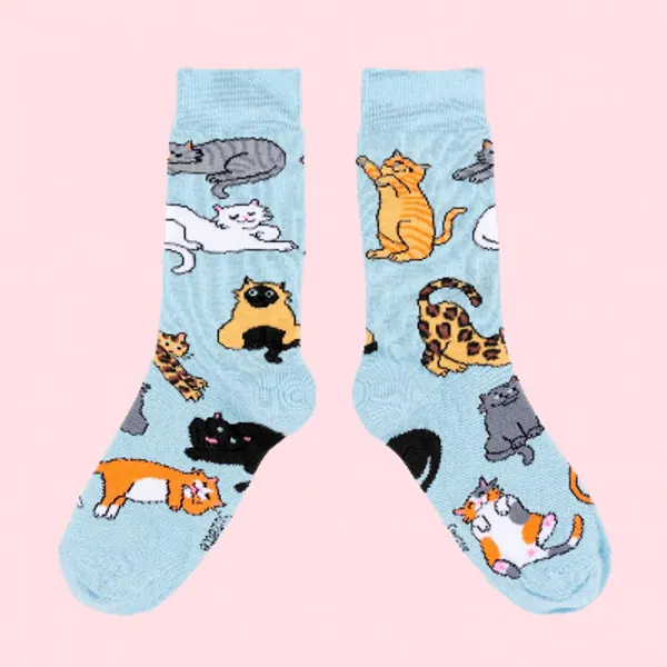 ๐ Chaussettes Miaou ๐