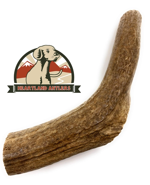 Elk Antlers for Dogs, Premium Grade-A Dog Chews, Long Lasting Dog Bones for Aggressive Chewers, Product of The USA