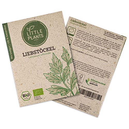 Little Plants BIO-Liebstöckelsamen (Levisticum officinale) Maggikraut | BIO-Kräutersamen | Nachhaltige Verpackung aus Graspapier | Kräuter-Samen | BIO-Saatgut für ca. 80 Liebstöckel-Pflanzen - Liebstöckel
