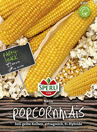 Maissamen - Mais (Popcornmais) Nana von Sperli-Samen