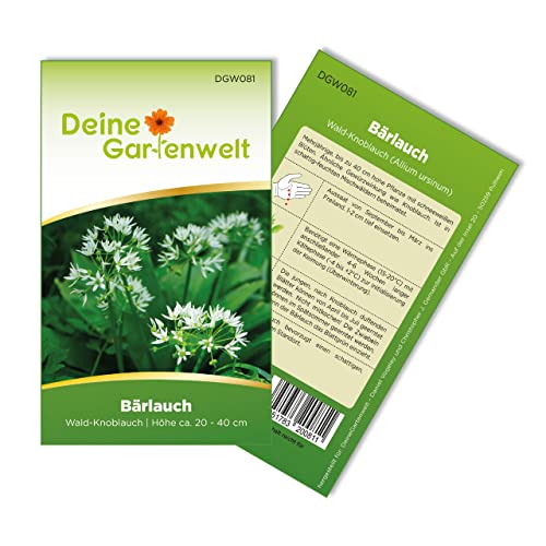 Bärlauch Waldknoblauch Samen - Allium ursinum - Bärlauchsamen - Kräutersamen - Saatgut für 20 Pflanzen - Bärlauch
