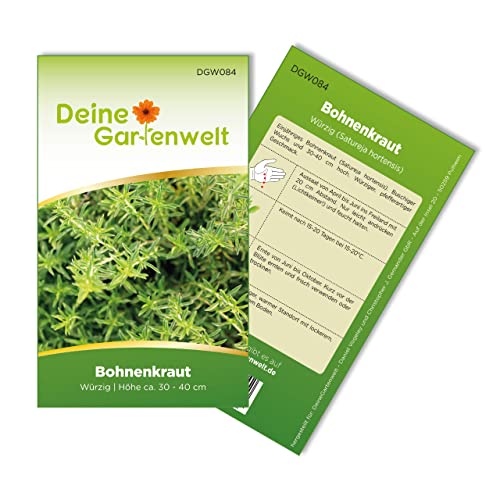 Bohnenkraut Samen - Satureja hortensis - Bohnenkrautsamen - Kräutersamen - Saatgut für 200 Pflanzen - Bohnenkraut
