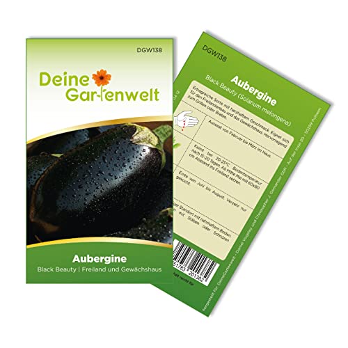 Aubergine Black Beatuy Samen - Solanum melongena - Auberginensamen - Gemüsesamen - Saatgut für 15 Pflanzen - Aubergine