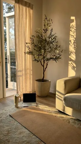 My Rent / Mi alquiler de un mes