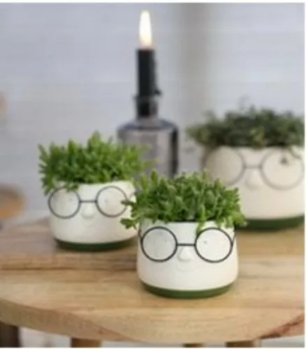 Cache pot Lunettes