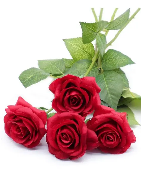 Flowers to brighten my day 🥰