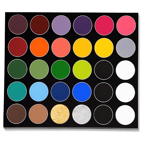 Mehron Makeup Paradise Makeup AQ 30 Color Pro Palette | Magnetic and Refillable Palette | Body Paint & Face Paint | Costumes, SFX, Halloween, & Cosplay - Original