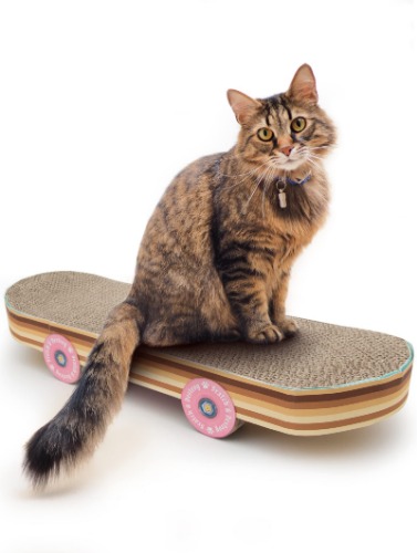 Suck UK Cat Scratch Pad Skateboard Cat Scratchers for Indoor Cats Cat Toy Scratching Board for Cats & Kittens Funny Cat Gifts & Gifts for Cats Interactive Cat Toy & Cardboard Cat Scratcher